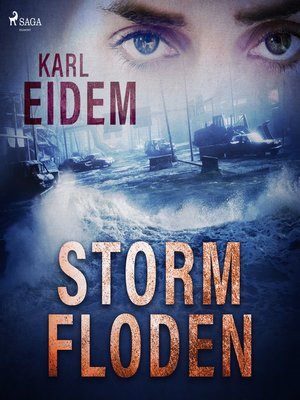 cover image of Stormfloden